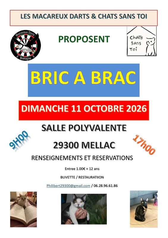 Affiche Troc et puces des Macareux Dart à Mellac