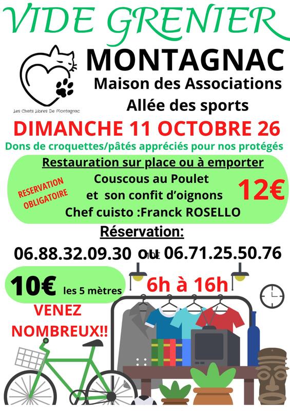 Affiche Vide-grenier des Chats Libres à Montagnac