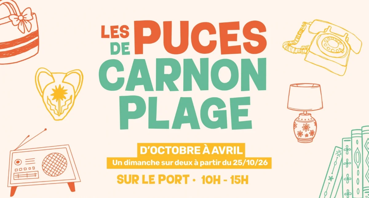 Affiche Puces de Carnon-Plage à Mauguio