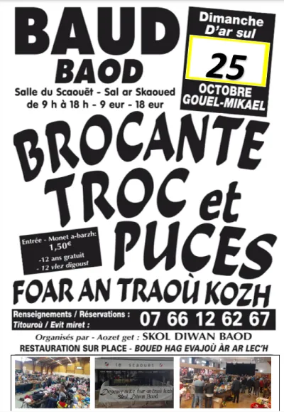 Affiche Brocante, troc et puces de l'école Diwan à Baud