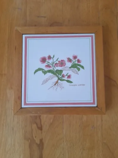 Dessous de plat en bois et faillance - Collection - Saint-Satur (18300)