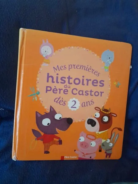 Mes premières histoires du père castor - dès 2 ans - Livres - Saint-Satur (18300)