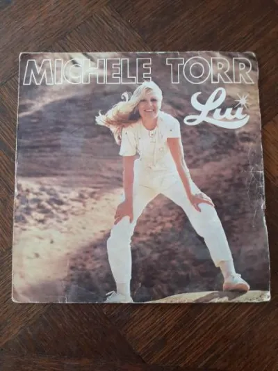 45 t "michel torr" - CD, DVD & Vinyles - Saint-Satur (18300)