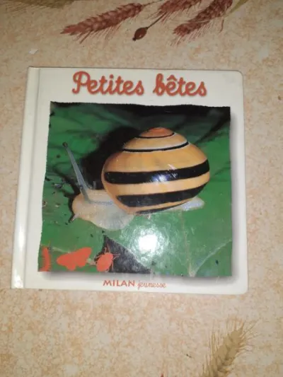 Petites bêtes - Livres - Saint-Satur (18300)