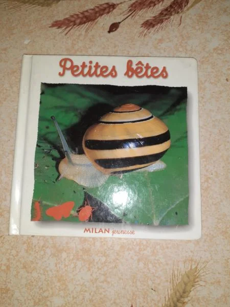 Petites bêtes - Livres - Saint-Satur (18300)