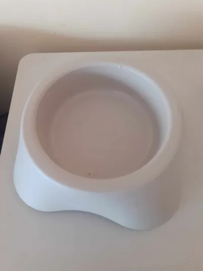 Gamelle pour chien en plastique beige - Chiens - Saint-Satur (18300)