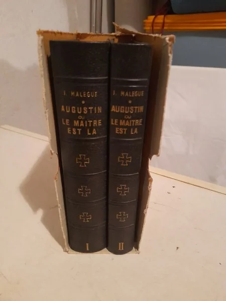 Augustin ou le maitre est là - coffret des 2 tomes - Livres - Saint-Satur (18300)