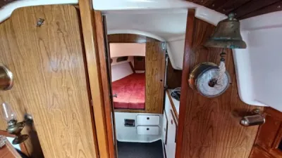 Voilier lucca marine - photo 3