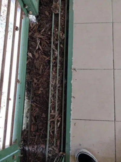 Baies vitrées alu &amp; brise soleil - Bricolage - Montpellier (34000)