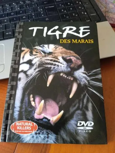 Dvd " tigre des marais " - CD, DVD & Vinyles - Saint-Satur (18300)