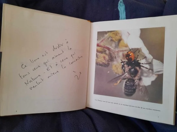 Promenades d'un naturaliste - jean claude roché - Livres - Saint-Satur (18300)