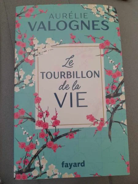 Le tourbillon de la vie - aurélie valognes - Livres - Saint-Satur (18300)