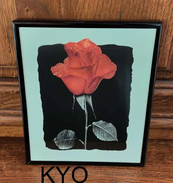 Cadre tableau fleur rose rouge - noir blanc - Décoration - Foncine-le-Haut (39460)