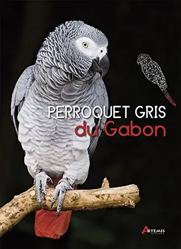 Perroquet gris du Gabon - Rongeurs & Oiseaux - Troyes (10000)