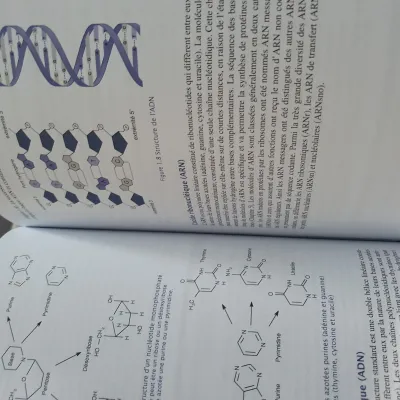 Livre biologie cellulaire dunod 3eme édition - photo 4