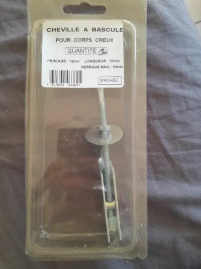 1 cheville à bascule pour corps creux - Bricolage - Saint-Satur (18300)