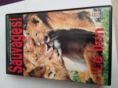 Vhs "le lion" - CD, DVD & Vinyles - Saint-Satur (18300)