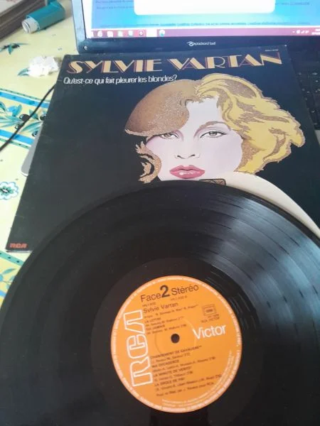33 t " sylvie vartan " - CD, DVD & Vinyles - Saint-Satur (18300)