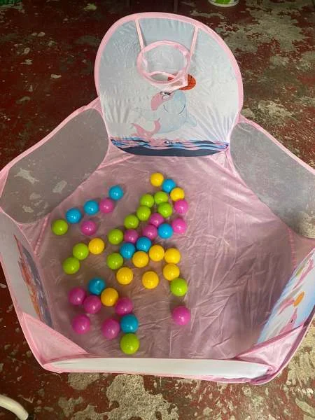 Parc à boules - Jeux & Jouets - Osny (95520)