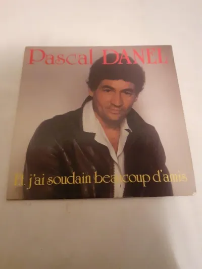 45 t "pascal danel" - CD, DVD & Vinyles - Saint-Satur (18300)
