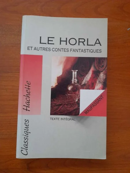 Livre le horla et autres contes fantastiques - Livres - Saint-Satur (18300)