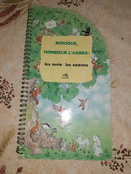 Bonjour monsieur l'arbre - les mois ,les saisons - Livres - Saint-Satur (18300)