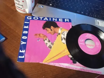 45t " gotainer " - CD, DVD & Vinyles - Saint-Satur (18300)