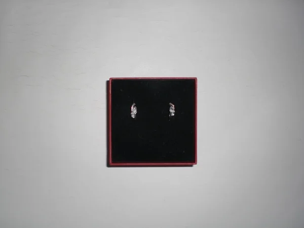 Boucle d'oreille-chaine+pendentif argent ou montre - Bijoux & Montres - Sochaux (25600)