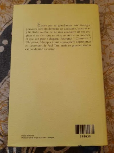 Ruby - la famille landry - tome 1 - virginia c. an - Livres - Saint-Satur (18300)