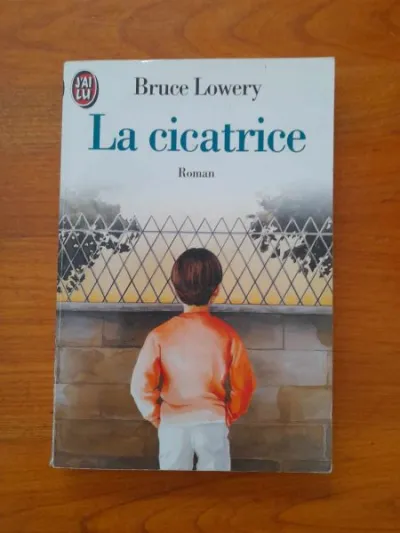 Livre la cicatrice -bruce lowery - Livres - Saint-Satur (18300)