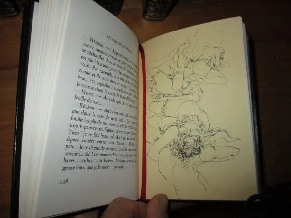 Lot de 13 livres série coquine - Livres - Sathonay-Village (69580)