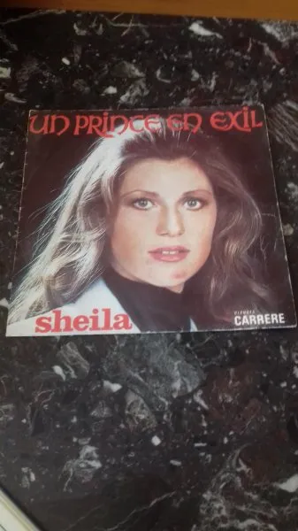 45 t sheila "un prince en exil" - photo 2