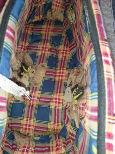 Sac couffin de transport pour animaux - photo 3