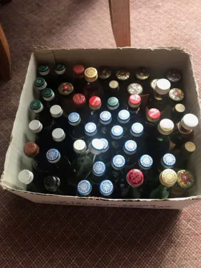 Mignonettes - Collection - Tulle (19000)