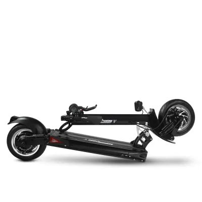 SpeedWay 5 by Dualtron (Dual Motors) - photo 4