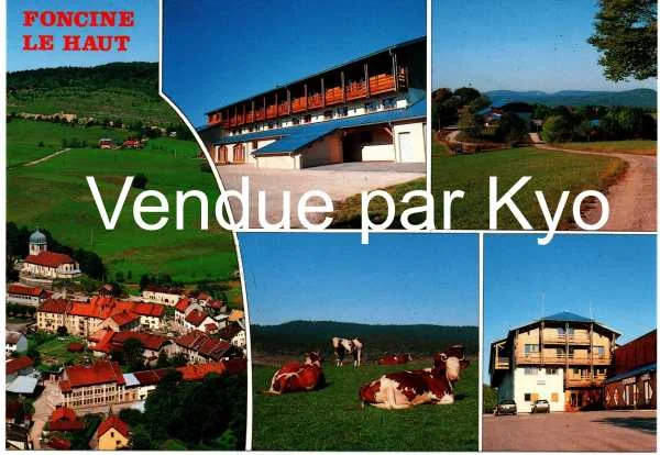 Carte postale foncine le haut, jura france - neuf - Collection - Foncine-le-Haut (39460)