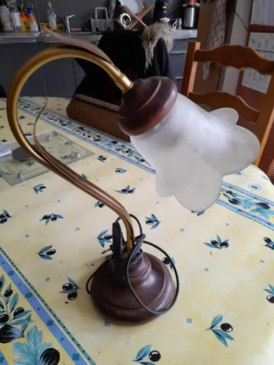 Lampe de table col de cygne - globe tulipe - photo 2