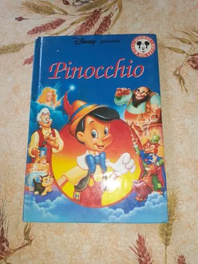 Livre pinocchio - walt disney - Livres - Saint-Satur (18300)