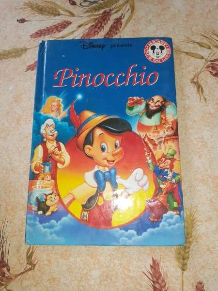 Livre pinocchio - walt disney - Livres - Saint-Satur (18300)