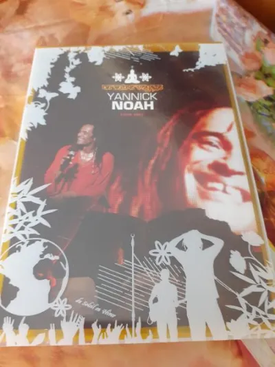 Dvd yannick noah "tour 2007" - CD, DVD & Vinyles - Saint-Satur (18300)