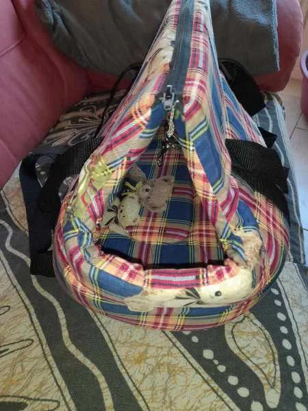 Sac couffin de transport pour animaux - Accessoires & Équipement - Saint-Satur (18300)