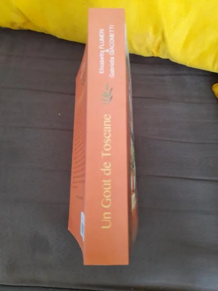 Un gout de toscane - elisabetta flumeri &amp; gabr - Livres - Saint-Satur (18300)