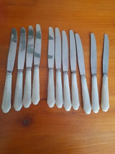 Lot 10 couteaux inox + 1 gratuit - Collection - Saint-Satur (18300)