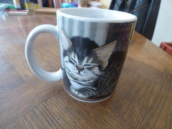 1 mug " lang and wise 1998 " - Collection - Saint-Satur (18300)