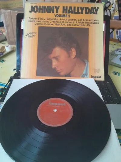 33 t " johnny hallyday " - CD, DVD & Vinyles - Saint-Satur (18300)