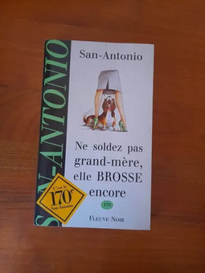 Livre ne soldez pas grand- mère , elle brosse enco - Livres - Saint-Satur (18300)