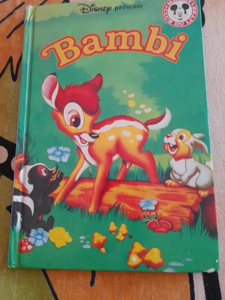 Livre bambi - Livres - Saint-Satur (18300)