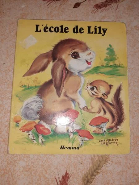 L'école de lily - Livres - Saint-Satur (18300)