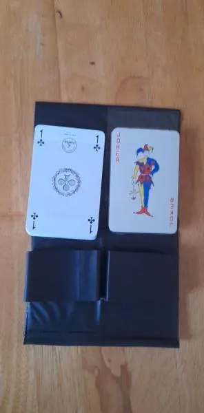 1 pochette 2 jeux de cartes - Jeux & Jouets - Saint-Satur (18300)