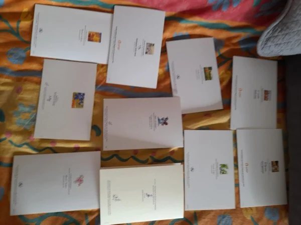 Lot 10 cartes postale société édition des artistes - Collection - Saint-Satur (18300)